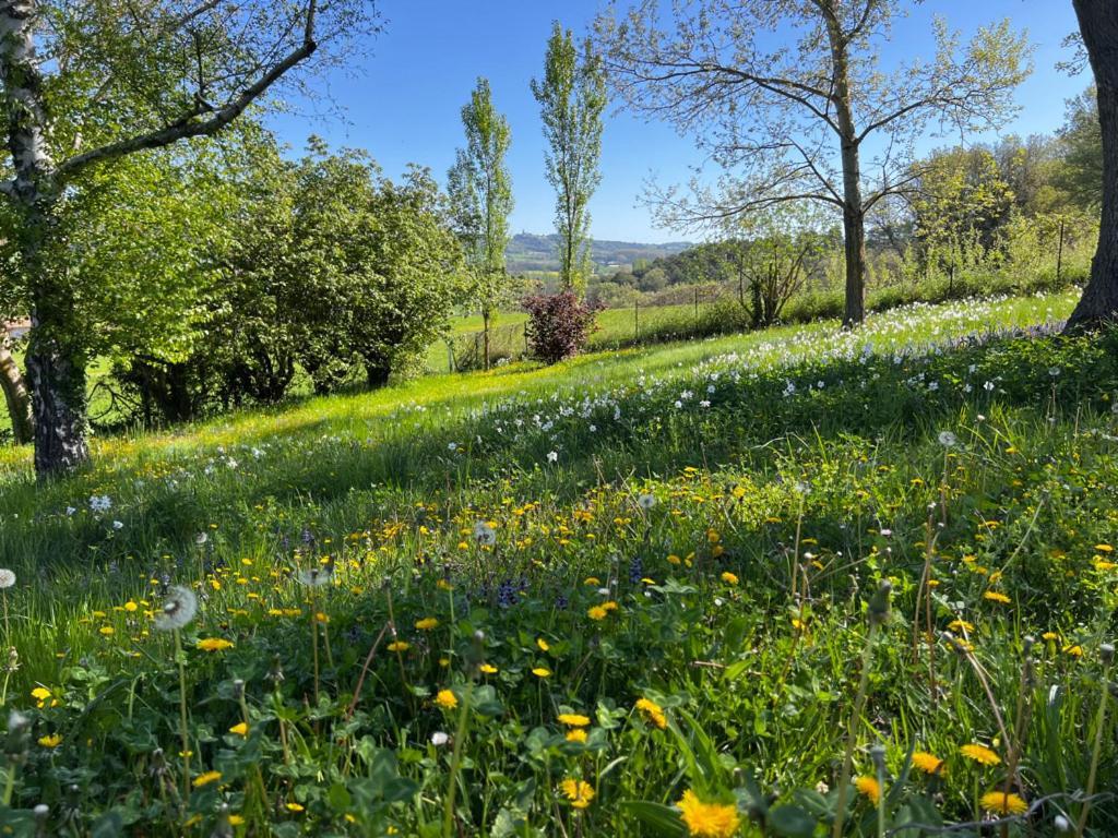 Bergerie Montjustin Exterior foto